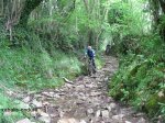 IMG_4453 (Copiar).JPG