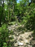 IMG_4502 (Copiar).JPG
