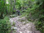 IMG_4511 (Copiar).JPG