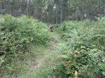 2013-06-17-926.jpg