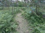 2013-06-17-930.jpg