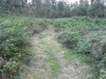 2013-06-17-932.jpg
