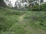 2013-06-17-933.jpg