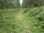 2013-06-17-934.jpg