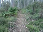 2013-06-17-938.jpg