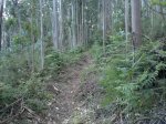 2013-06-17-939.jpg
