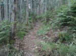 2013-06-17-940.jpg