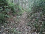2013-06-17-941.jpg