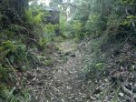 2013-06-17-944.jpg