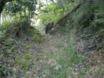 2013-06-17-947.jpg