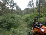 2013-06-17-937.jpg
