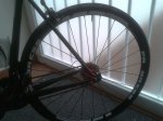 2013-03-18 11.38.33.jpg