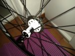 20130529_095124.jpg