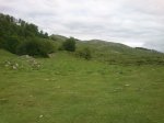 DSC_0923.JPG