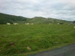 DSC_0928.JPG