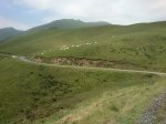 DSC_0952.JPG