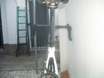 IMGP4629.JPG