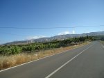 DSC07254 (Copiar).JPG