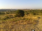 2013-06-20 07.44.40.jpg