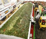 ensalada-gigante.jpg