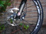 DSC04973.JPG