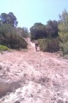 IMAG0923.jpg
