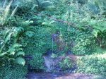 IMG_20130622_095619-1.jpg