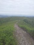 20130622_115352.jpg