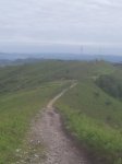 20130622_114839.jpg