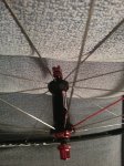 20130622_175116.jpg