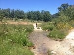 IMG_1880.JPG