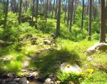 DSCF1390.JPG
