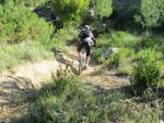 IMG_2426.JPG