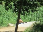 IMG_2497.JPG