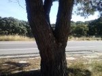 CAM00531.jpg