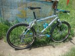 DSC08558.JPG