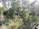 20130623_093125.jpg