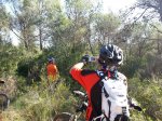 20130623_093147.jpg