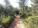 20130623_093212.jpg