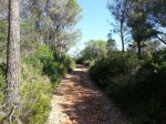 20130623_093238.jpg