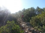20130623_093859.jpg