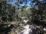 DSC02145.JPG