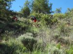 DSC02209.JPG
