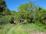 DSC02218.JPG