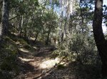 DSC02229.JPG