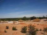 DSC02236.JPG