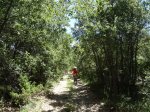 DSC02264.JPG