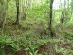 P6230016 (Copiar).JPG