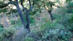 DSCN0405.jpg