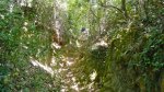 DSCN0615.jpg